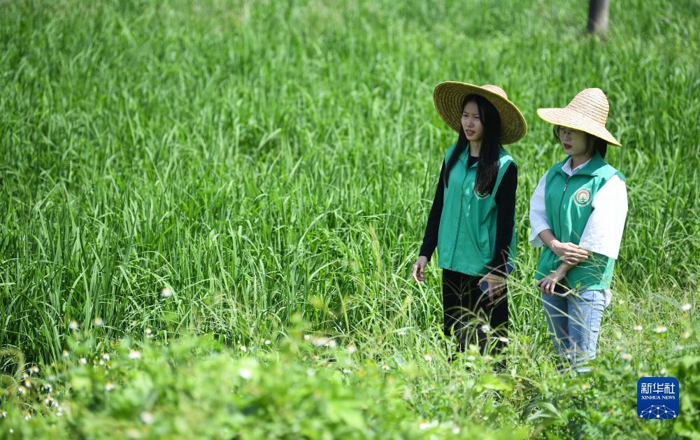 新威尼斯人游戏网站